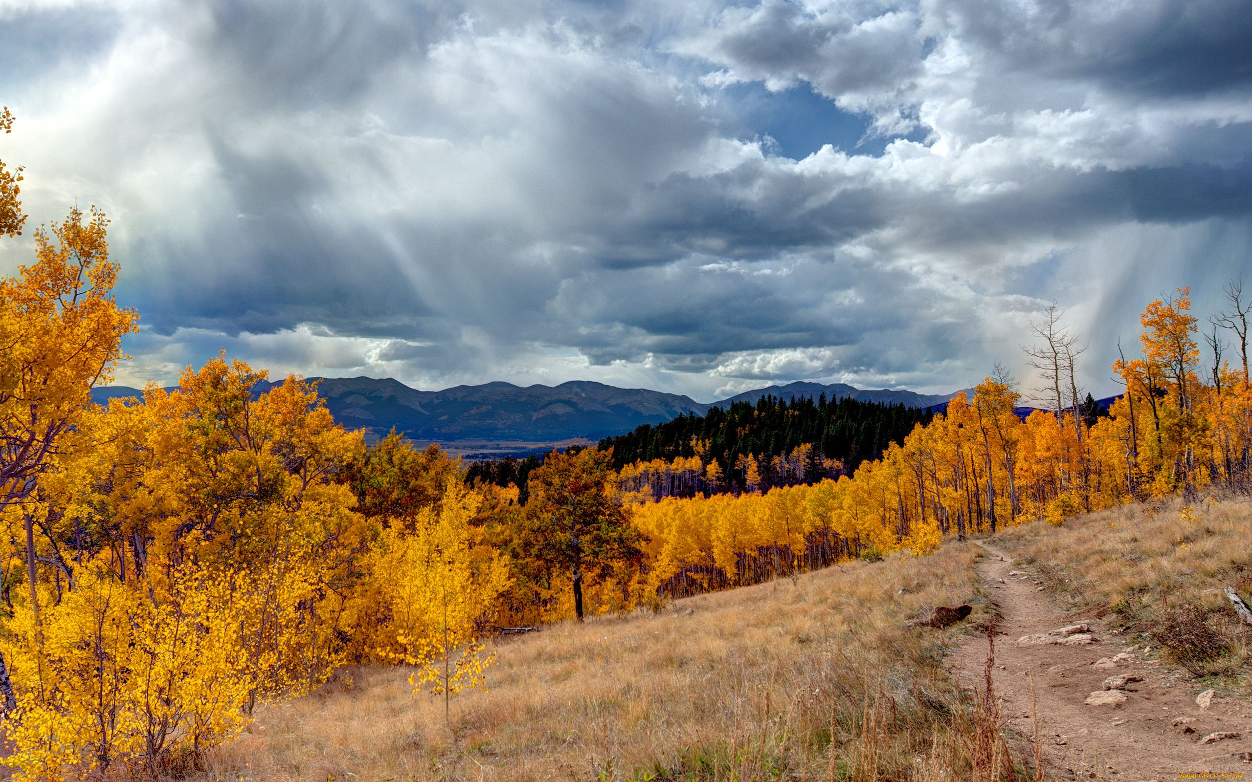 aspen, colorado, , , , , 
